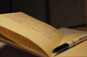 Foto: Kevin VelVaneille (Creative Commons)