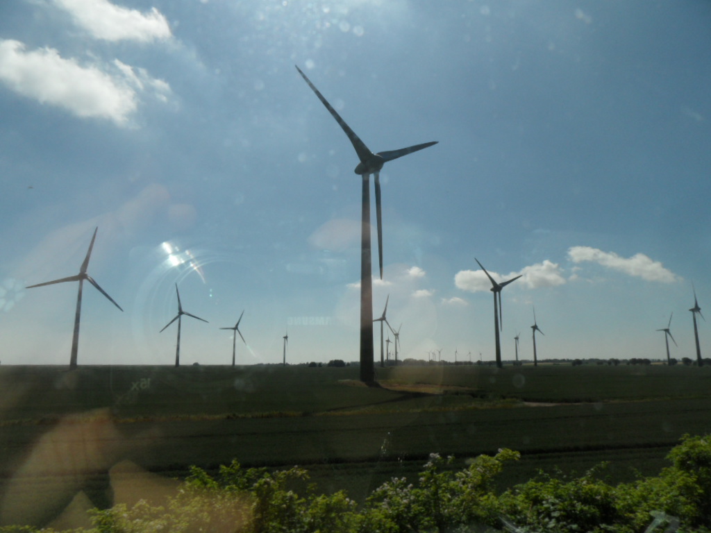 foto af Marianne Lapp